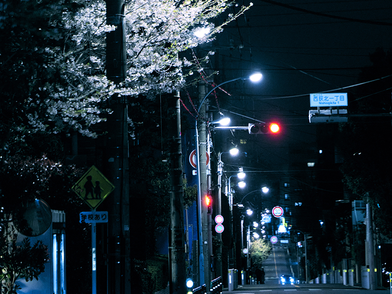 sakura_DSC5531 のコピー